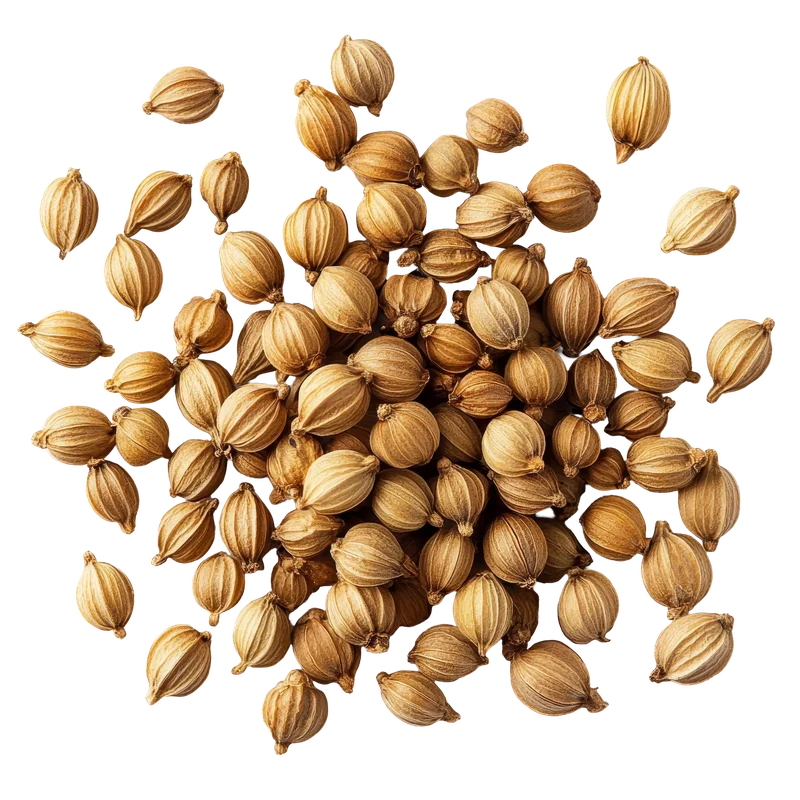 Coriander Seeds